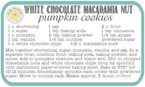 White Chocolate Macadamia Nut Pumpkin Cookies - 32 Turns32 Turns